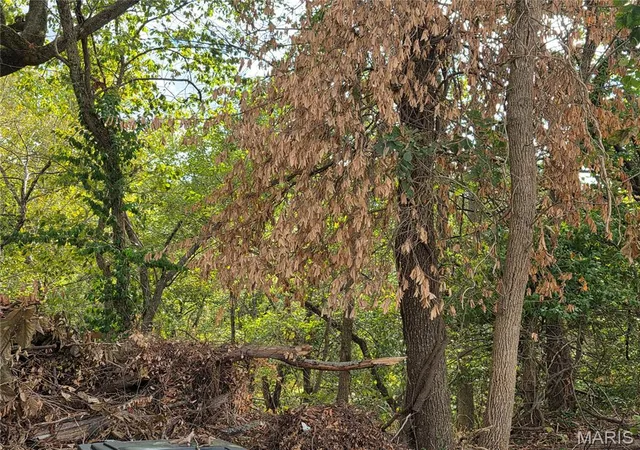Photo 2 of Sale Pending at Xxx Bluff Cir, Waynesville, MO 65583 | MLS# MIS26061362 | Listing updated on 2026-10-02