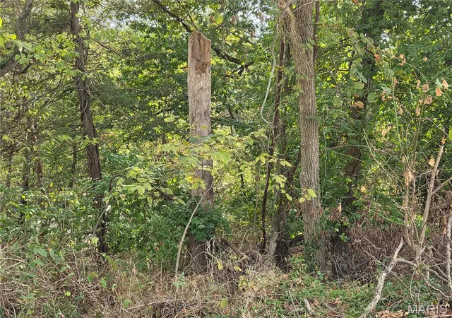 Photo 3 of Sale Pending at Xxx Bluff Cir, Waynesville, MO 65583 | MLS# MIS26061362 | Listing updated on 2026-10-02