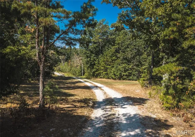 Photo 3 of Land for sale at 4911 Hwy Yy, Salem, MO 65560 | MLS# MIS26061438 | Listing updated on 2026-10-07