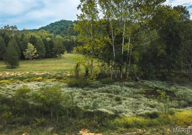 Photo 2 of Land for sale at 0 County Rd 342 Tract 2, Lesterville, MO 63654 | MLS# MIS26061514 | Listing updated on 2026-10-06