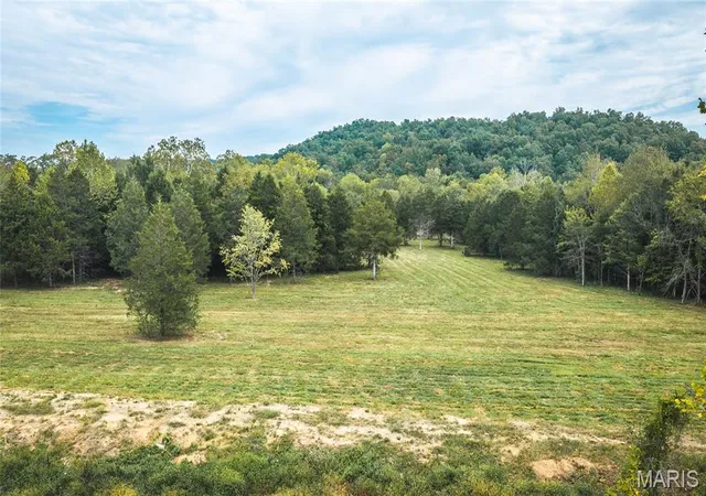 Photo 3 of Land for sale at 0 County Rd 342 Tract 2, Lesterville, MO 63654 | MLS# MIS26061514 | Listing updated on 2026-10-06