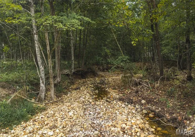 Photo 3 of Land for sale at 0 County Rd 342 Tract 2, Lesterville, MO 63654 | MLS# MIS26061514 | Listing updated on 2026-10-21