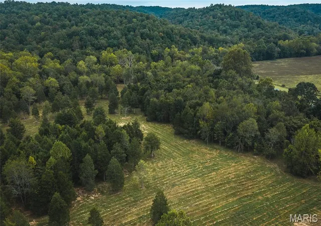 Photo 3 of Land for sale at 0 County Rd 342 Tract 3, Lesterville, MO 63654 | MLS# MIS26061519 | Listing updated on 2026-10-06