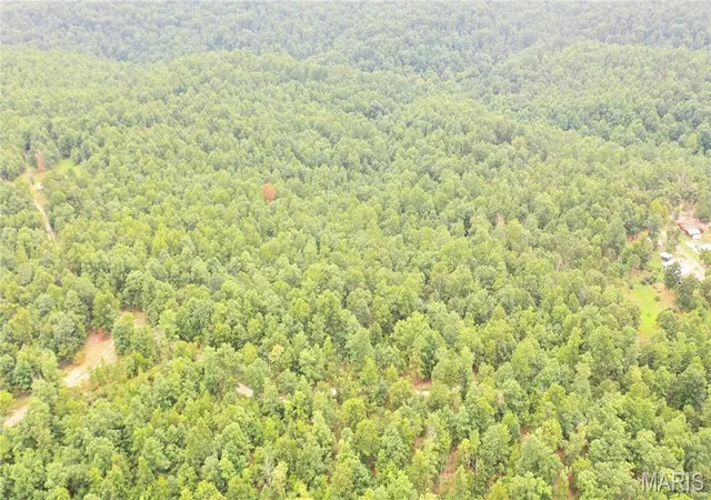Photo 2 of Land for sale at 0 Tract 13 Private Ln 550, Salem, MO 65560 | MLS# MIS26061520 | Listing updated on 2026-09-30