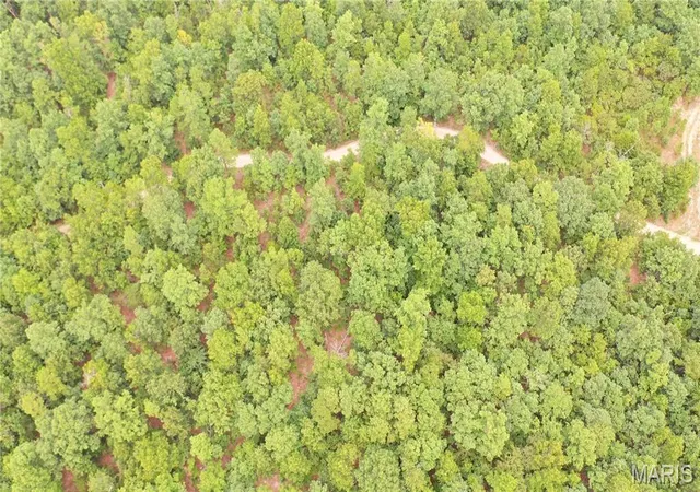 Photo 3 of Land for sale at 0 Tract 13 Private Ln 550, Salem, MO 65560 | MLS# MIS26061520 | Listing updated on 2026-09-30