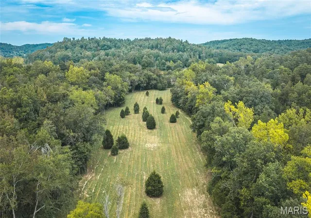 Photo 1 of Land for sale at 0 County Rd 342 Tract 4, Lesterville, MO 63654 | MLS# MIS26061524 | Listing updated on 2026-10-06