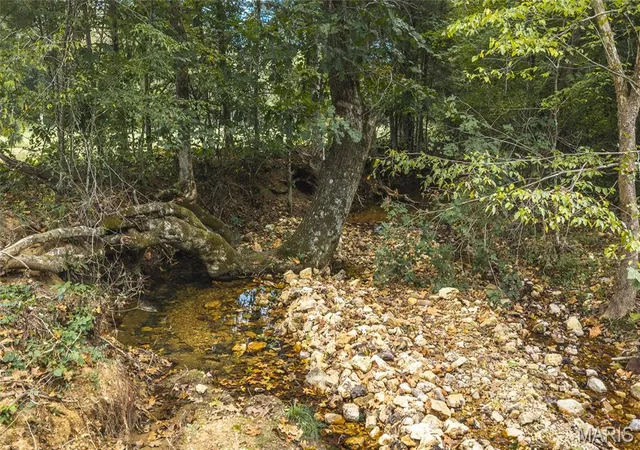 Photo 3 of Land for sale at 0 County Rd 342 Tract 4, Lesterville, MO 63654 | MLS# MIS26061524 | Listing updated on 2026-10-06
