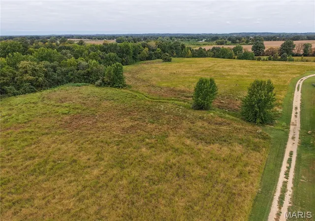 Photo 3 of Land for sale at 000 County Rd 420, Bloomfield, MO 63825 | MLS# MIS26061559 | Listing updated on 2026-10-08