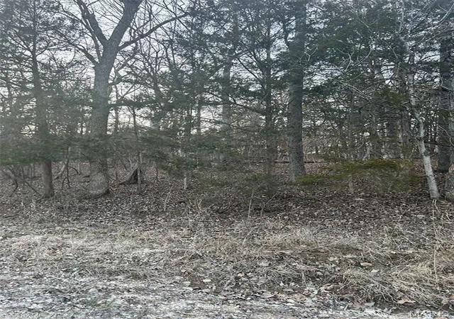 Land for sale at 121 Briarwood Ter, De Soto, MO 63020 | MLS# MIS26061582