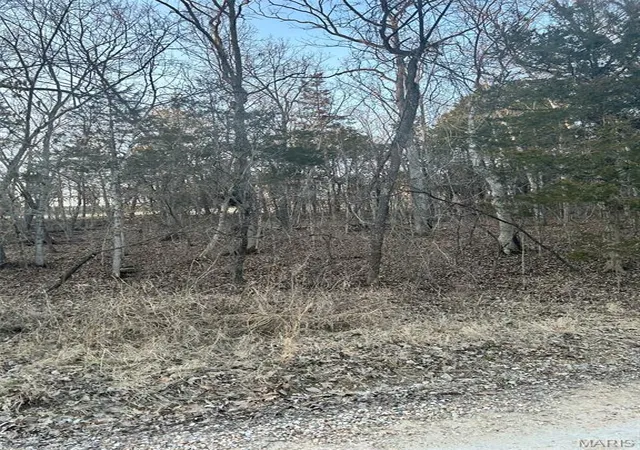 Photo 2 of Land for sale at 121 Briarwood Ter, De Soto, MO 63020 | MLS# MIS26061582 | Listing updated on 2026-10-06