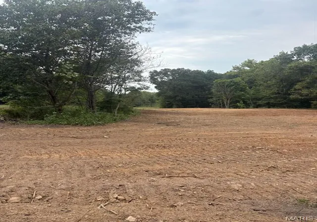 Photo 1 of Land for sale at 0 Wayne 213, Silva, MO 63964 | MLS# MIS26061620 | Listing updated on 2026-09-23