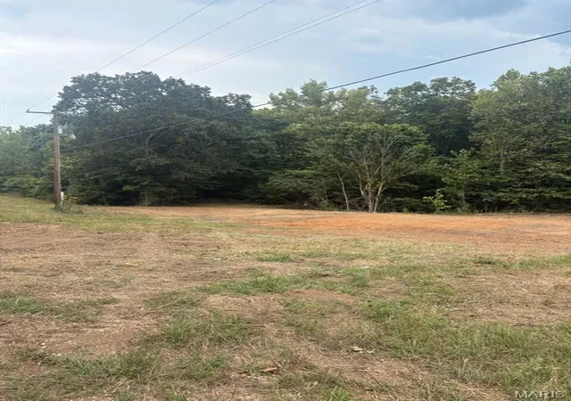 Photo 3 of Land for sale at 0 Wayne 213, Silva, MO 63964 | MLS# MIS26061620 | Listing updated on 2026-09-23