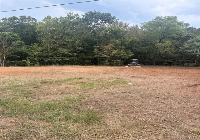 Photo 3 of Land for sale at 0 Wayne 213, Silva, MO 63964 | MLS# MIS26061620 | Listing updated on 2026-09-23
