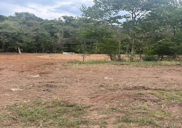 Photo 4 of Land for sale at 0 Wayne 213, Silva, MO 63964 | MLS# MIS26061620 | Listing updated on 2026-09-23
