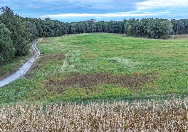 Photo 2 of Land for sale at 000 Hwy Dd, Bellflower, MO 63333 | MLS# MIS26061785 | Listing updated on 2026-09-28