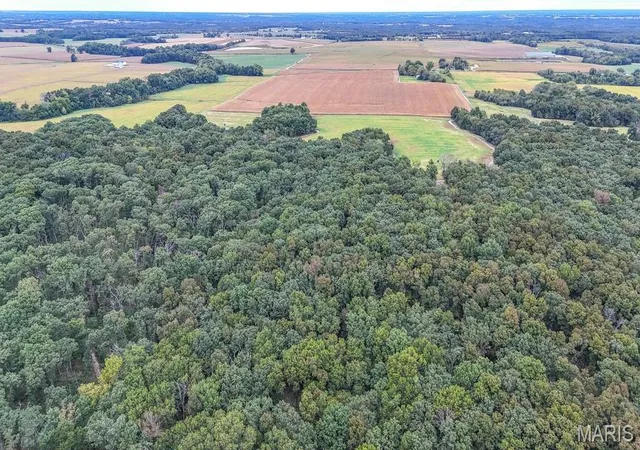 Photo 3 of Land for sale at 000 Hwy Dd, Bellflower, MO 63333 | MLS# MIS26061785 | Listing updated on 2026-09-28