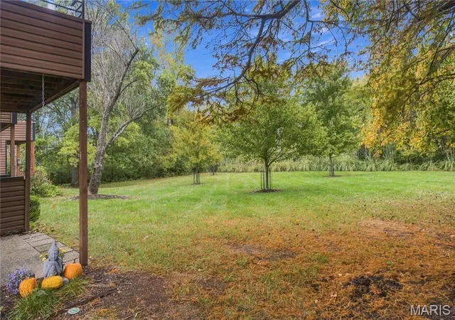 Listing Photo 5 - Condo for sale in building located at 13803 Amiot Dr, Maryland Heights, MO 63146 - Unit #B