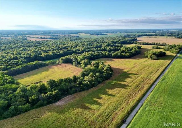 Photo 3 of Land for sale at 00 N Drivers Ln, Wood Lawn, IL 62898 | MLS# MIS26061853 | Listing updated on 2026-09-25