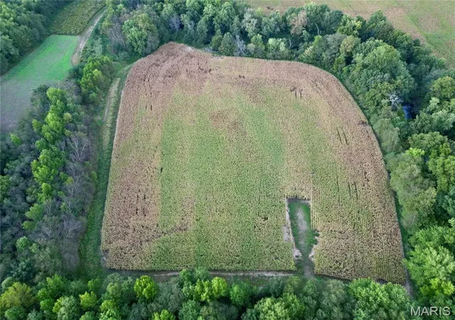 Photo 4 of Land for sale at 00 N Drivers Ln, Wood Lawn, IL 62898 | MLS# MIS26061853 | Listing updated on 2026-09-25