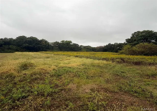 Photo 1 of Land for sale at 20785 Oak Rest Rd, Brighton, IL 62012 | MLS# MIS26061868 | Listing updated on 2026-09-25