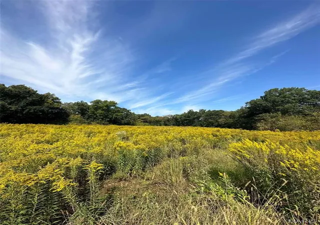 Photo 3 of Land for sale at 20785 Oak Rest Rd, Brighton, IL 62012 | MLS# MIS26061868 | Listing updated on 2026-09-25