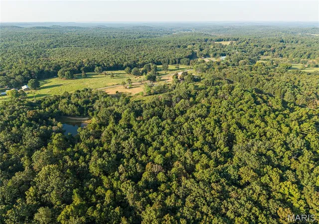 Photo 4 of Land for sale at 19441 Highway 160 W, Doniphan, MO 63935 | MLS# MIS26061877 | Listing updated on 2026-09-27