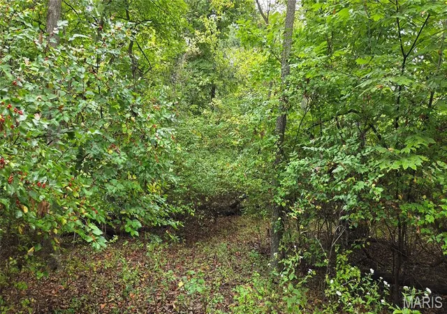 Photo 3 of Land for sale at 112 Hunters Holw Ln, Foley, MO 63347 | MLS# MIS26061955 | Listing updated on 2026-10-01