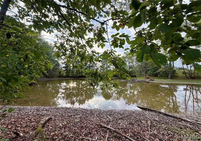 Photo 3 of Single family home for sale at (Undisclosed), Shobonier, IL 62885 | MLS# MIS26062028 | Listing updated on 2026-10-19