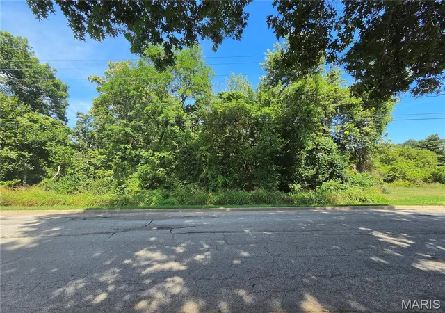 Photo 3 of Land for sale at 401 E Union St, Edwardsville, IL 62025 | MLS# MIS26062031 | Listing updated on 2026-09-29