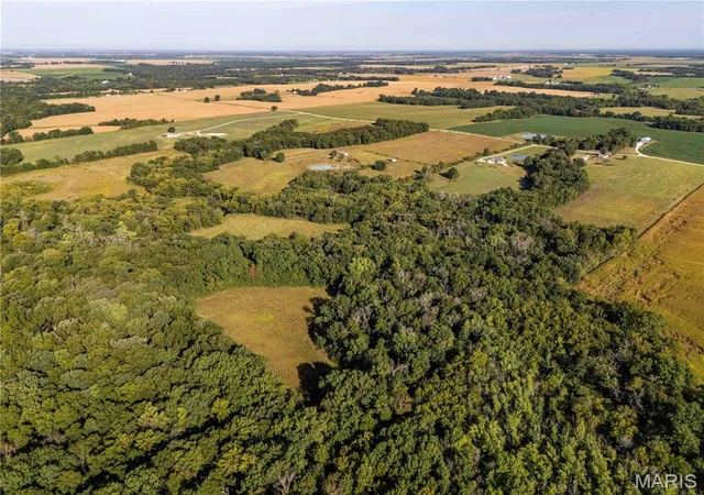 Photo 4 of Sale Pending at 4121 Pike 451, Curryville, MO 63339 | MLS# MIS26062072 | Listing updated on 2026-10-02