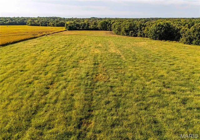 Photo 3 of Sale Pending at 00 Pike 451, Curryville, MO 63339 | MLS# MIS26062095 | Listing updated on 2026-10-02