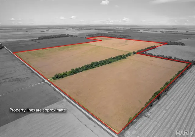 Photo 1 of Land for sale at 000 County Rd 507, East Prairie, MO 63845 | MLS# MIS26062103 | Listing updated on 2026-09-25