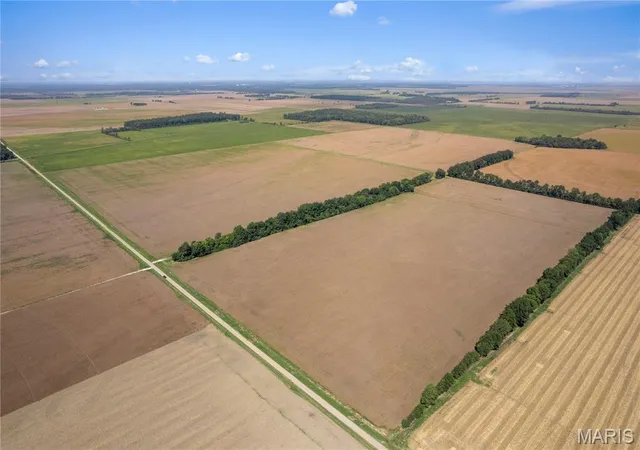 Photo 2 of Land for sale at 000 County Rd 507, East Prairie, MO 63845 | MLS# MIS26062103 | Listing updated on 2026-09-25