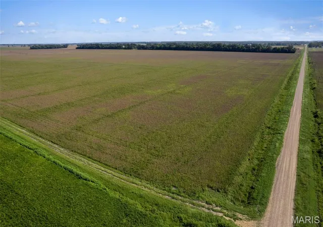 Photo 3 of Land for sale at 000 County Rd 507, East Prairie, MO 63845 | MLS# MIS26062103 | Listing updated on 2026-09-25