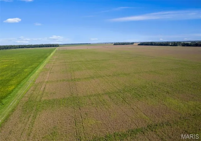 Photo 4 of House for sale at 000 County Rd 507, East Prairie, MO 63845 | MLS# MIS26062103 | Listing updated on 2026-09-25