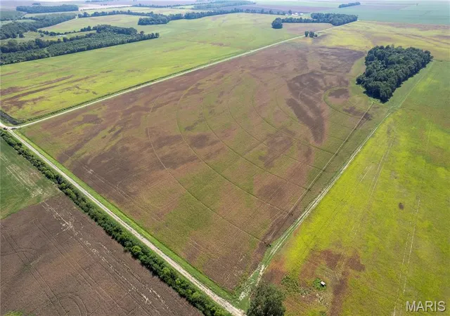 Photo 1 of Land for sale at 000 County Rd 512, East Prairie, MO 63845 | MLS# MIS26062121 | Listing updated on 2026-09-25