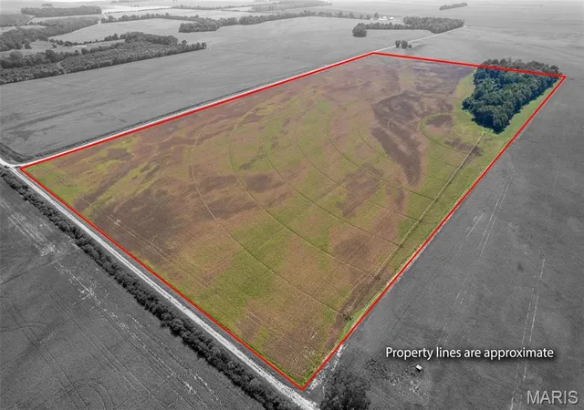 Photo 3 of Land for sale at 000 County Rd 512, East Prairie, MO 63845 | MLS# MIS26062121 | Listing updated on 2026-09-25