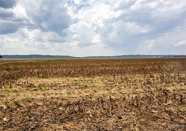 Photo 3 of Land for sale at 00 Bond Rd, Ste Genevieve, MO 62233 | MLS# MIS26062141 | Listing updated on 2026-09-30