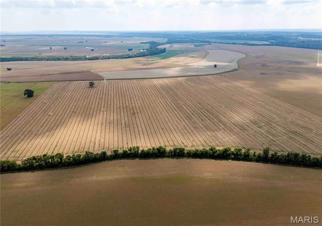 Photo 4 of Land for sale at 00 Bond Rd, Ste Genevieve, MO 62233 | MLS# MIS26062141 | Listing updated on 2026-09-30