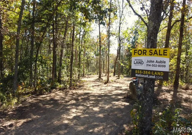 Photo 2 of Land for sale at (Undisclosed), Belleview, MO 63623 | MLS# MIS26062204 | Listing updated on 2026-10-09