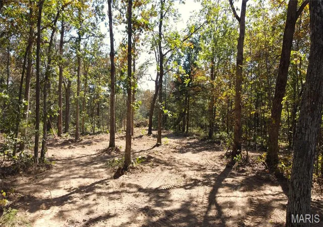 Photo 3 of Land for sale at (Undisclosed), Belleview, MO 63623 | MLS# MIS26062204 | Listing updated on 2026-10-09