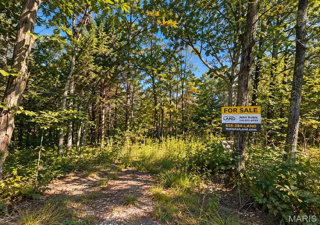 Photo 3 of Land for sale at (Undisclosed), Belleview, MO 63623 | MLS# MIS26062204 | Listing updated on 2026-09-29