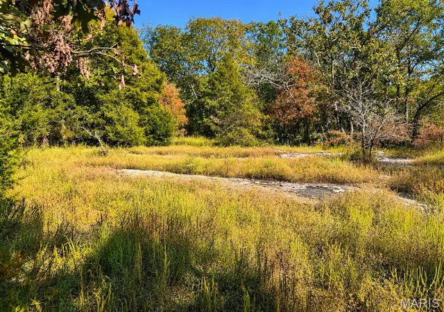 Photo 4 of Land for sale at (Undisclosed), Belleview, MO 63623 | MLS# MIS26062204 | Listing updated on 2026-09-29