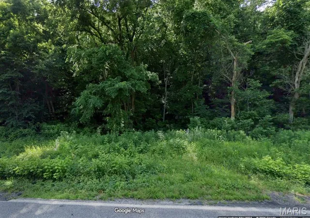 Photo 1 of Land for sale at 0 S State Hwy 43, Anderson, MO 64831 | MLS# MIS26062229 | Listing updated on 2026-10-28