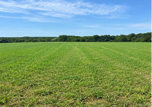 Photo 1 of Sale Pending at 79 Penrod Rd, Troy, MO 63379 | MLS# MIS26062261 | Listing updated on 2026-10-02