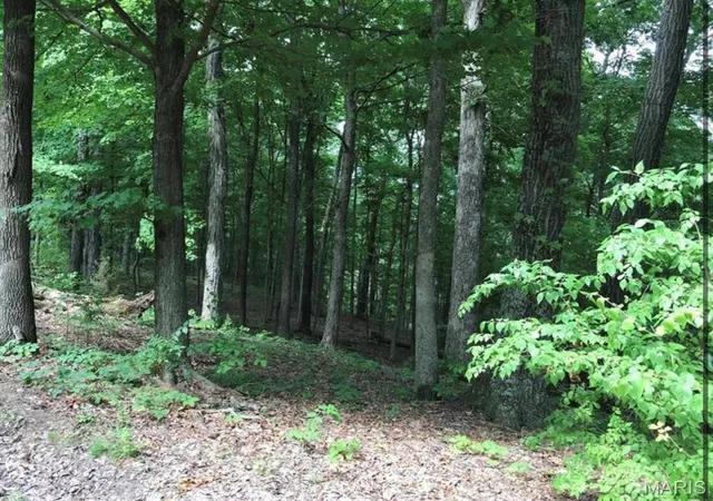 Photo 3 of Land for sale at 2 Hennessey Ln, Pacific, MO 63069 | MLS# MIS26062365 | Listing updated on 2026-10-07