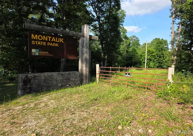 Land for sale at Tbd Highway 119, Salem, MO 65560 | MLS# MIS26062429