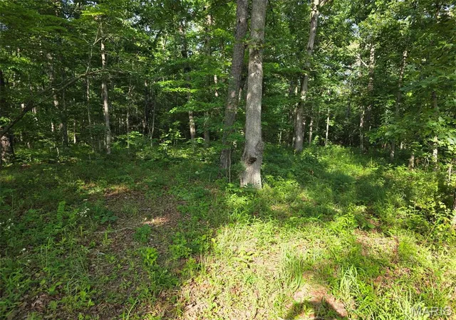 Photo 3 of Land for sale at Tbd Highway 119, Salem, MO 65560 | MLS# MIS26062429 | Listing updated on 2026-10-06