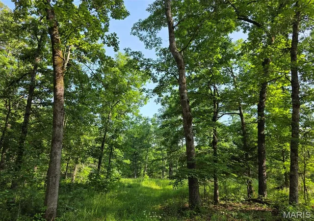 Photo 3 of Land for sale at Tbd Highway 119, Salem, MO 65560 | MLS# MIS26062429 | Listing updated on 2026-10-06