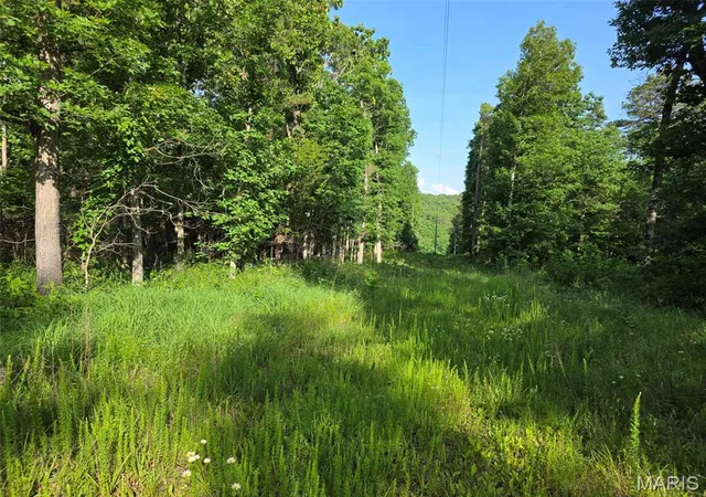 Photo 4 of Land for sale at Tbd Highway 119, Salem, MO 65560 | MLS# MIS26062429 | Listing updated on 2026-10-06